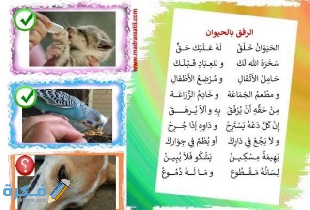 عبارات عن الرفق بالحيوان