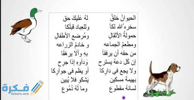 عبارات عن الرفق بالحيوان