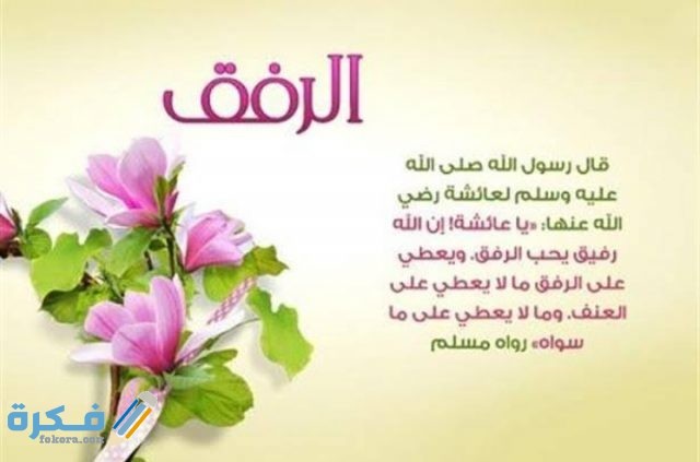 عبارات عن الرفق بالحيوان