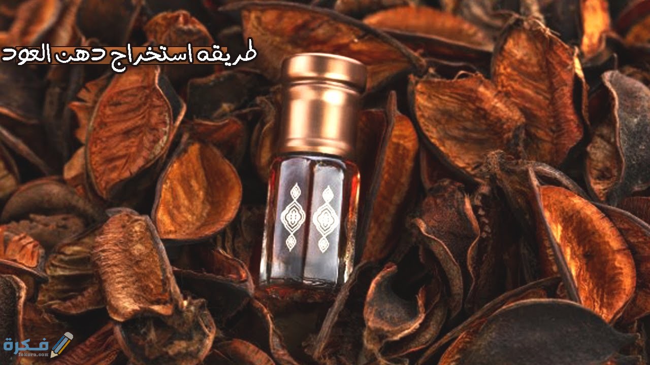 كيف تصنع دهن العود وعطور العود الشرقية 1 طريقة استخراج دهن العود
