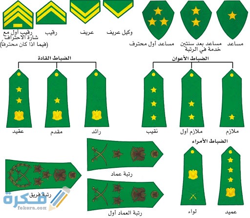 العسكريه رتبات تدشين صرف