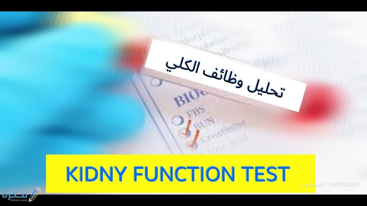 شروط تحليل وظائف الكلى صائم ام فاطر ؟ 1 انواع امراض الكلى