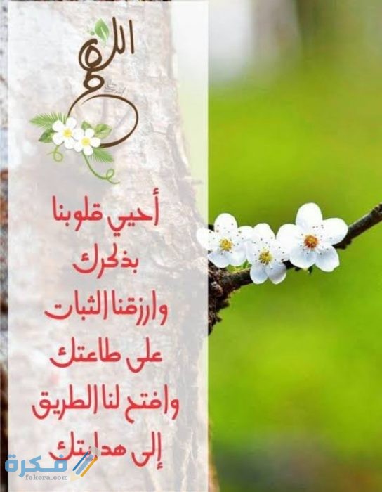 اللهم أحي قلوبنا بذكرك وارزقنا الثبات على طاعتك