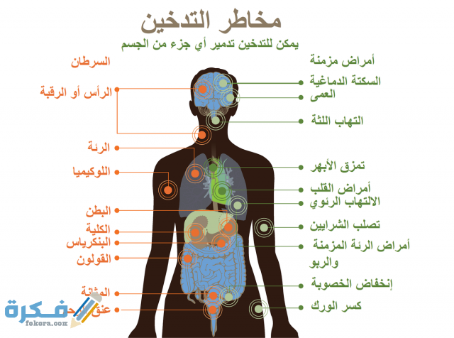 كيفية كتابة تقرير عن