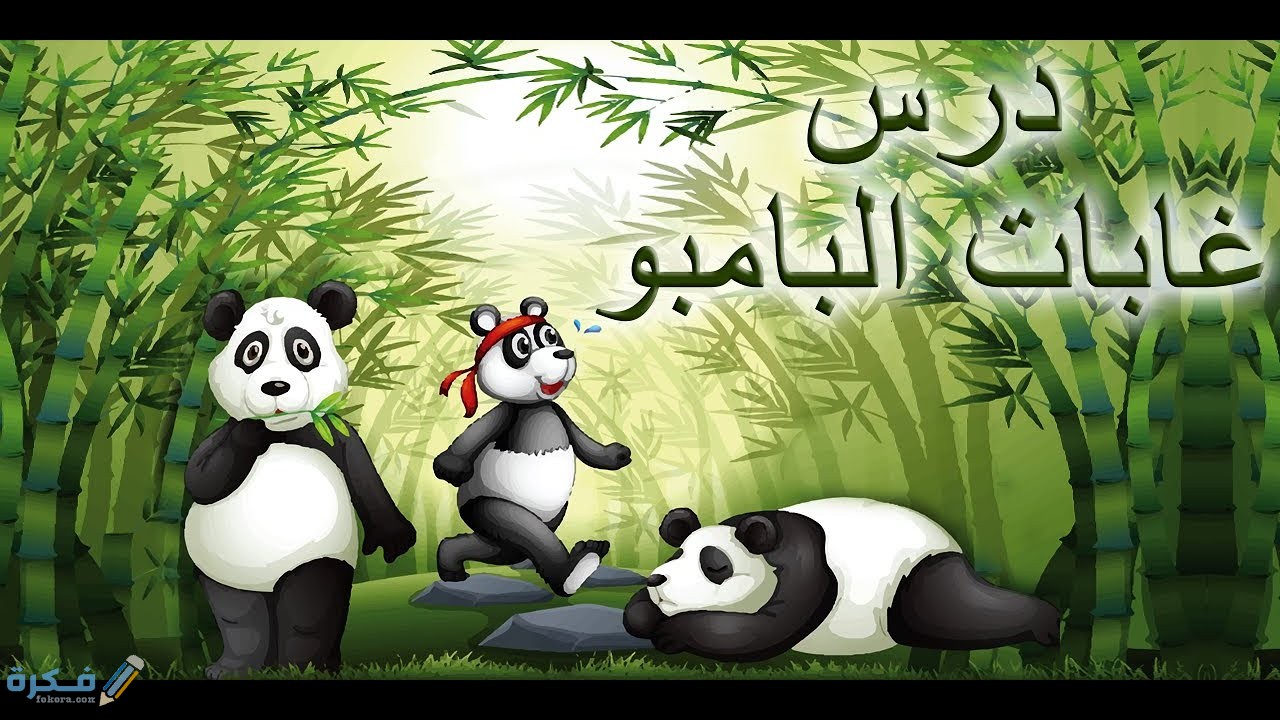 شرح درس غابات البامبو للصف الثالث الابتدائي 1 شرح درس غابات البامبو للصف الثالث الابتدائي