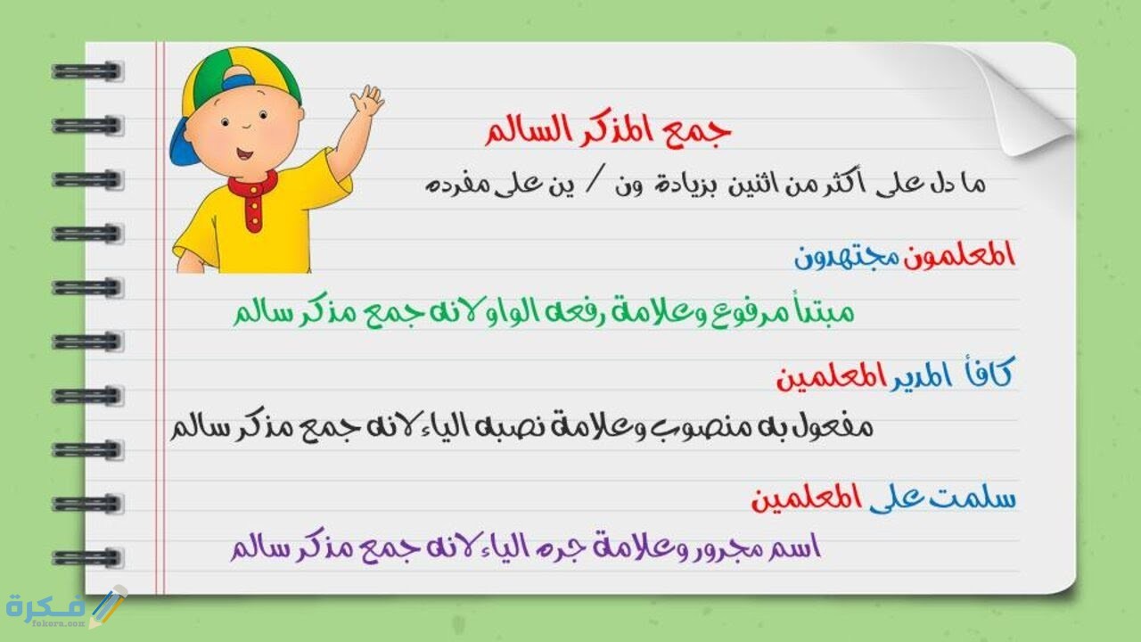 شرح درس جمع المذكر السالم - موقع فكرة