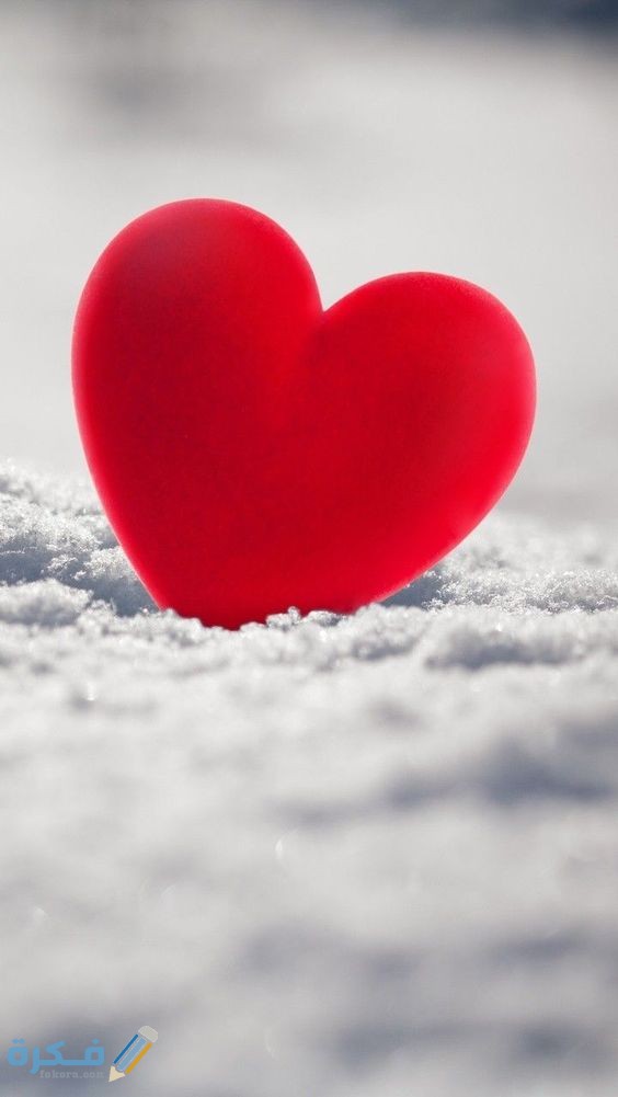 صور قلوب حب حمراء جميلة 2021 اجمل صور قلوب - موقع فكرة