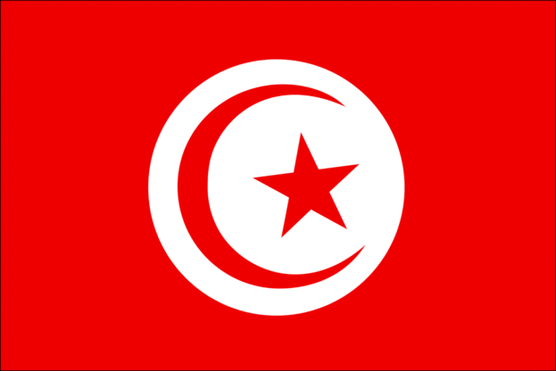 flag of tunisia 6 623x416 1