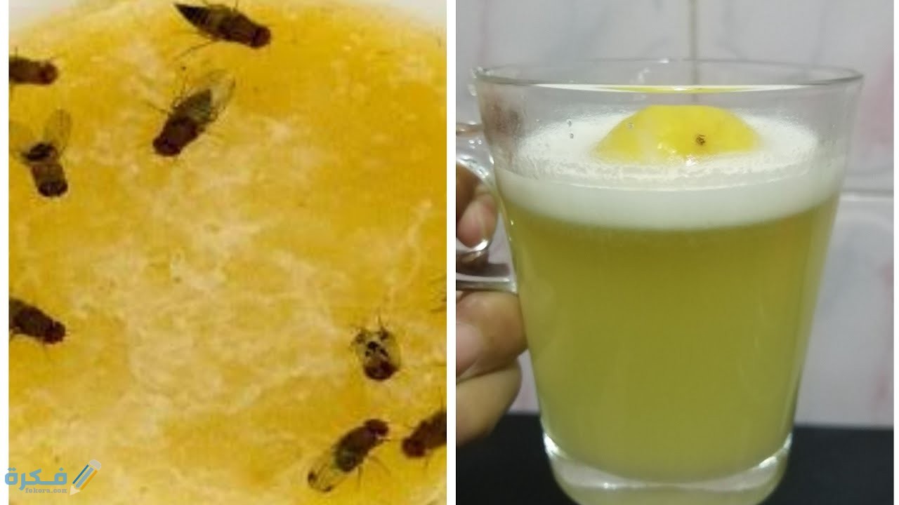 شرح خطوات التخلص من هاموش المطبخ 1 اسباب ظهور هاموش المطبخ