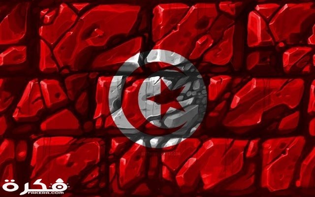 thumb2 tunisian flag brickwall 4k african countries national symbols