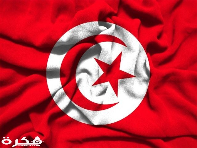 صور علم تونس 5