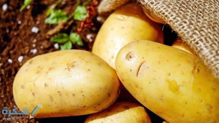 تفسير البطاطس في المنام