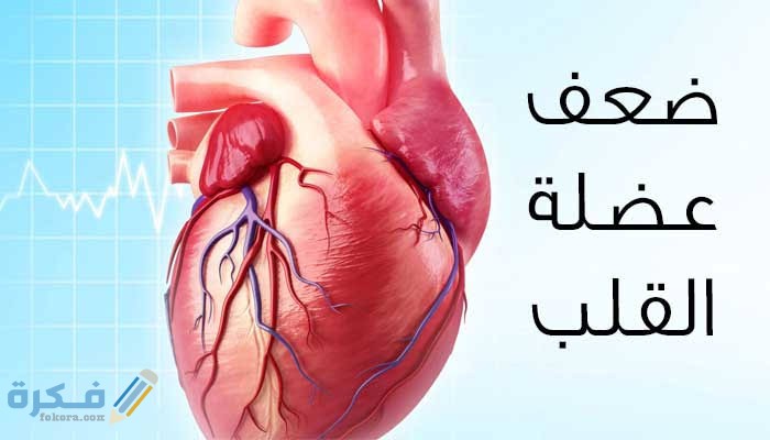 كم نسبة عضلة القلب الطبيعية 1 images 59