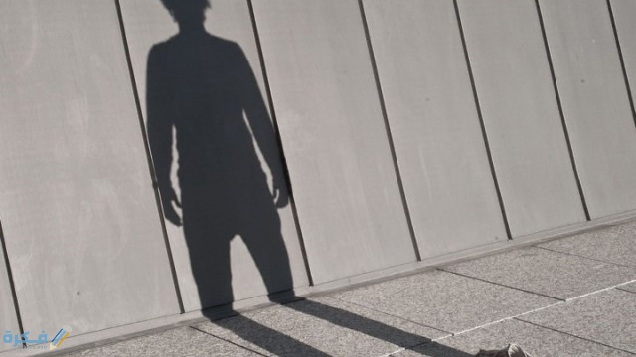 معلومات عن قرين الأنثى : أهم 10 أشياء 1 معلومات تكون مخيفة عن قرين الأنثى