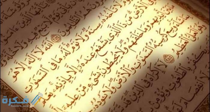 عجائب قراءة القرآن يومياً 