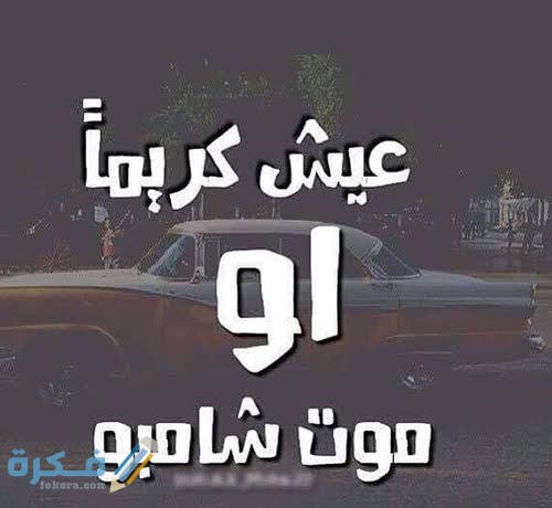 كابشن روش