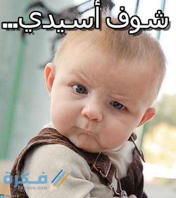 تعليقات على الصور