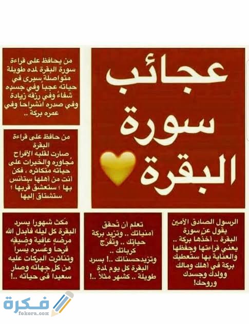 هل قراءة سورة البقرة يوميا بدعة