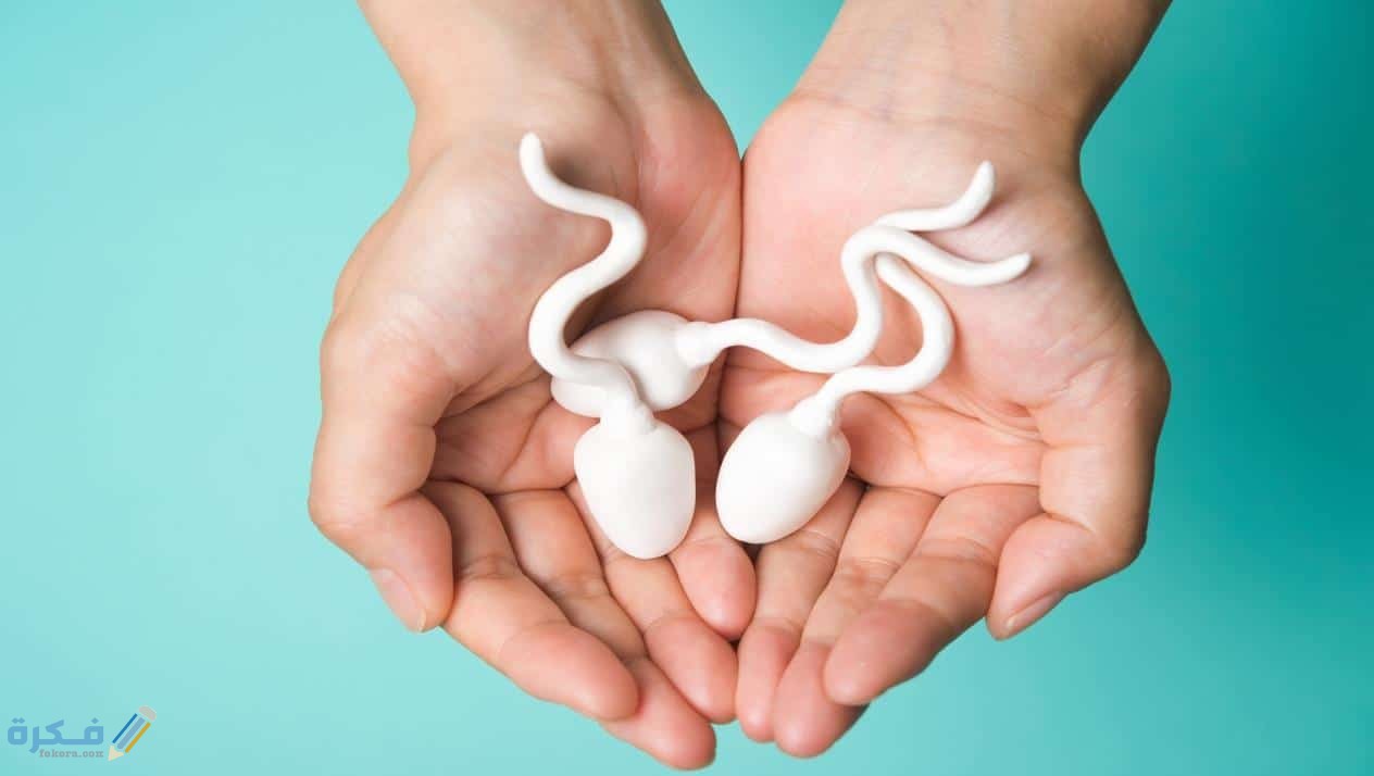 هل يجوز بلع سائل الرجل ( السائل المنوي ) 1 يجوز بلع سائل الرجل