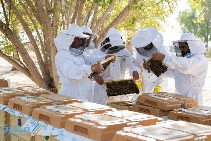 تحديات مشروع تربية النحل