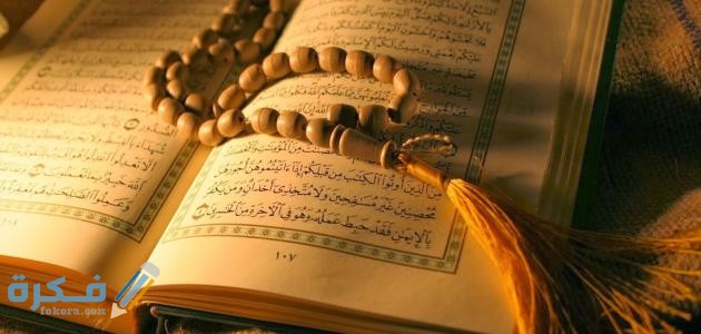 آيات قرآنية عن التسامح والعفو