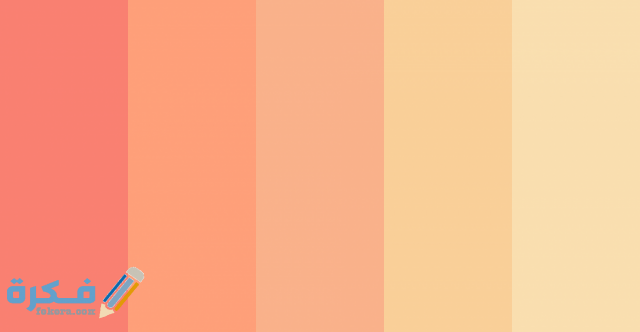 11 4 780x405 1