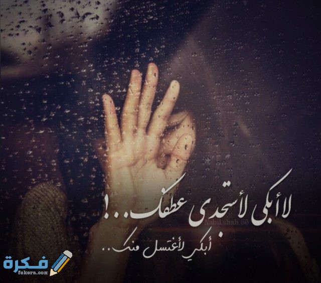 IMG ٢٠٢٠١١١٣ ١١٣٣٤٢