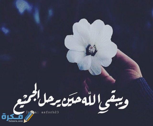 IMG ٢٠٢٠١١١٣ ١١٣٣٥٥