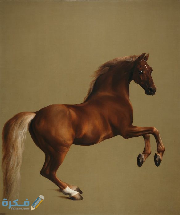 1200px Whistlejacket by George Stubbs edit