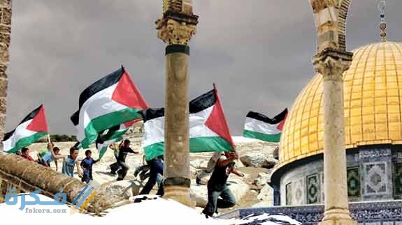 تفسير رؤية الدفاع وتحرير فلسطين في المنام 1 344805710949651