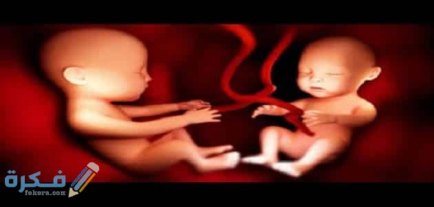 تفسير رؤية الاجهاض بتوأم في المنام