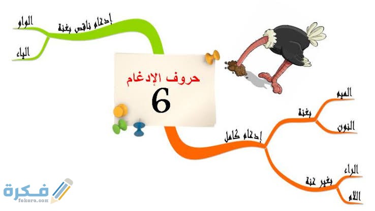 عدد حروف الاقلاب