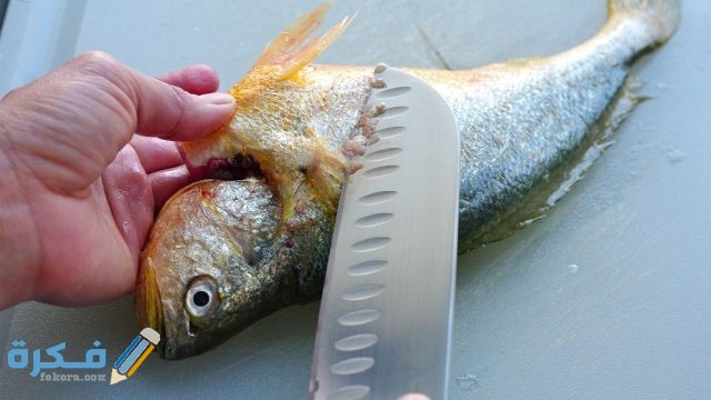 تفسير رؤية تنظيف السمك في المنام