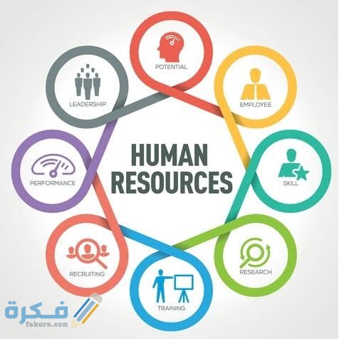 بَحث عن إدارة الموارد البشرية