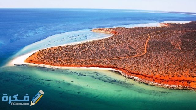 خليج استراليا