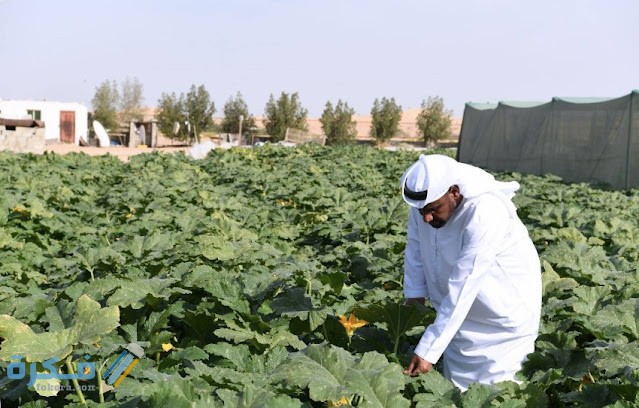 عناوين فروع وزارة الزراعة السعودية