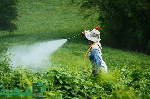 أنواع المبيدات الزراعية وفوائدها ومخاطرها وطرق الوقاية منها
