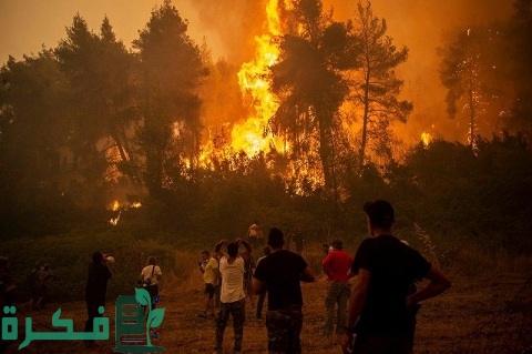 أسباب اشتعال حرائق الغابات