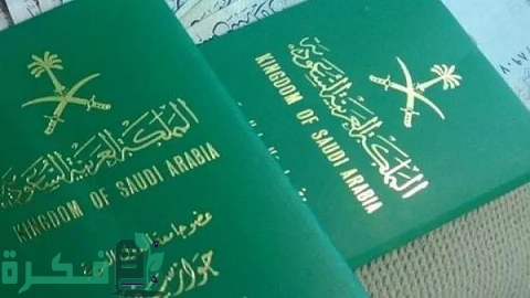 تأشيرة دخول السعودية من مصر للعمل