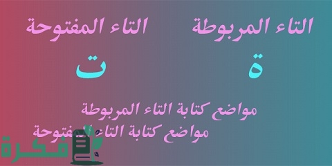 شرح قواعد كتابة التاء