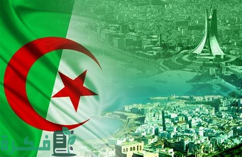 احسن تجارة مربحة في الجزائر واحسن مشروع مضمون 1 mWvFTWo8Cr9gsGzkCsbLgQHaE1