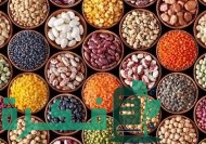 دراسة جدوى مشروع تعبئة وتغليف الحبوب