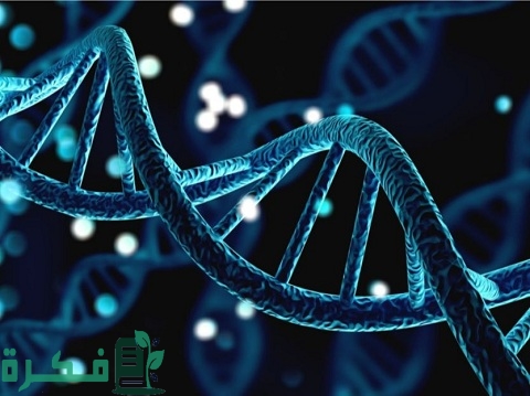 نسبة تطابق ال DNA بين الأخوة 1 نسبة تطابق ال DNA بين الأخوة