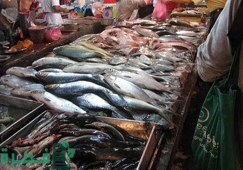 مشروع تجارة الأسماك المجمدة