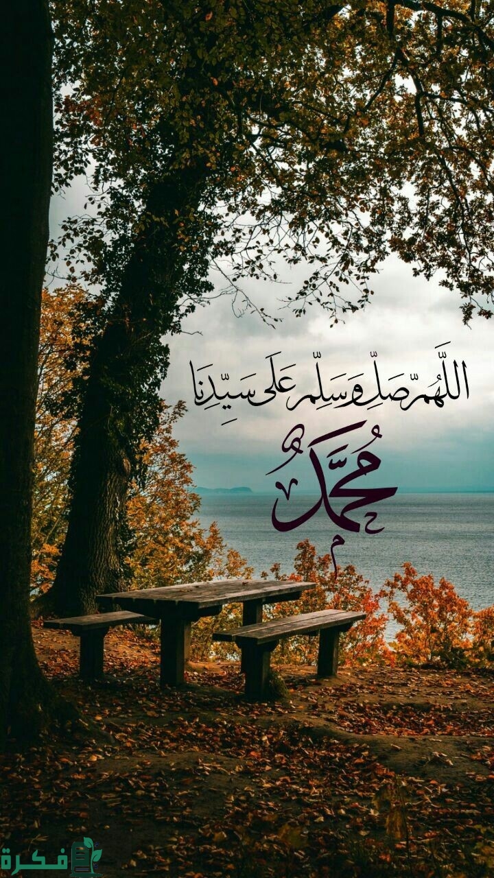 أجمل مقدمة اذاعة مدرسية عن المولد النبوي الشريف مكتوبة 1 5146b472d4d6ae04f22f2ff3d6f7cae7