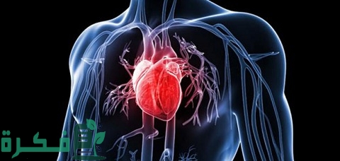 هل مرض القلب العصبي خطير