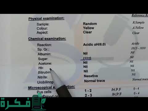 ما معنى اختصار HPF في تحليل البول 1 hqdefault