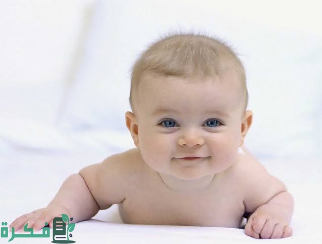 ❌ لم يتم التوليد 1 images 2022 10 09T105141.973