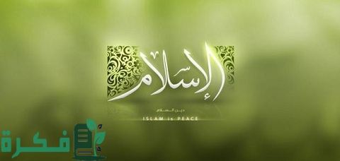 شرح خطوات الدفاع عن الدين الإسلامي ضد بعض الحملات المعادية 1 كيف يمكن الدفاع عن الدين الإسلامي ضد بعض الحملات المعادية