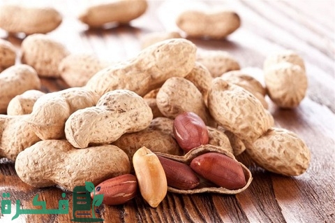 أسماء أكثر دول العالم إنتاجًا للفول السوداني 1 ما هي أكثر دول العالم إنتاجًا للفول السوداني